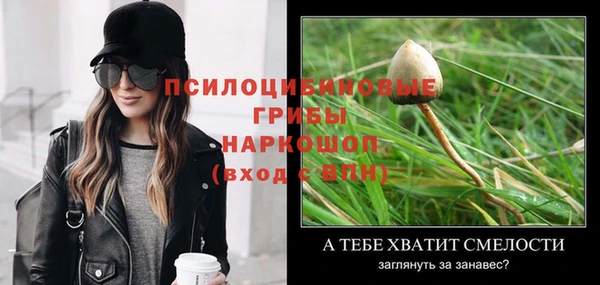 бошки Арсеньев