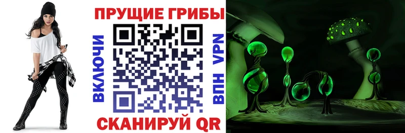 Галлюциногенные грибы мицелий Спасск-Дальний